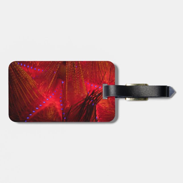 Fire Urchin Luggage Tag (Back Horizontal)