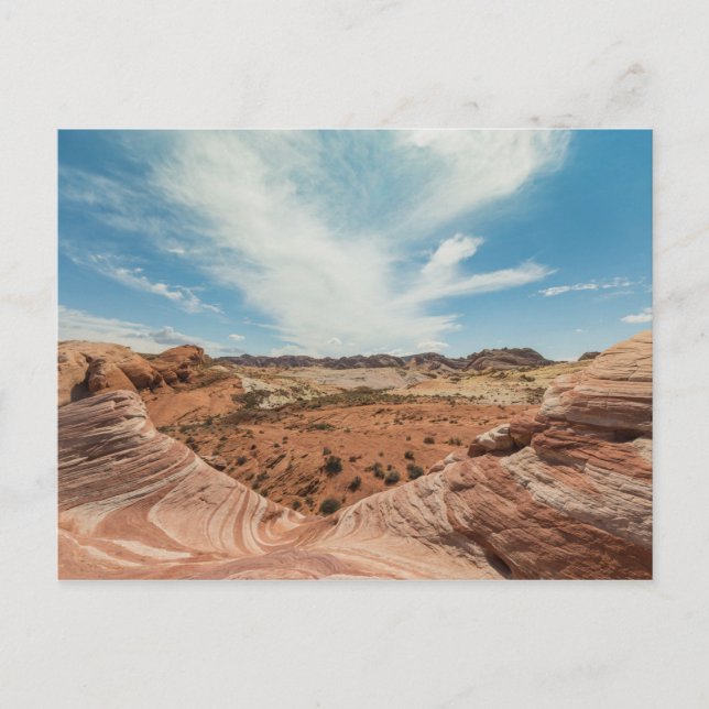 Fire Wave Trail Postcard (Front)