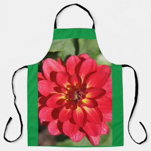 Fireball Dahlia Flower Apron
