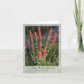 Firecracker Penstemon - Native Notecard