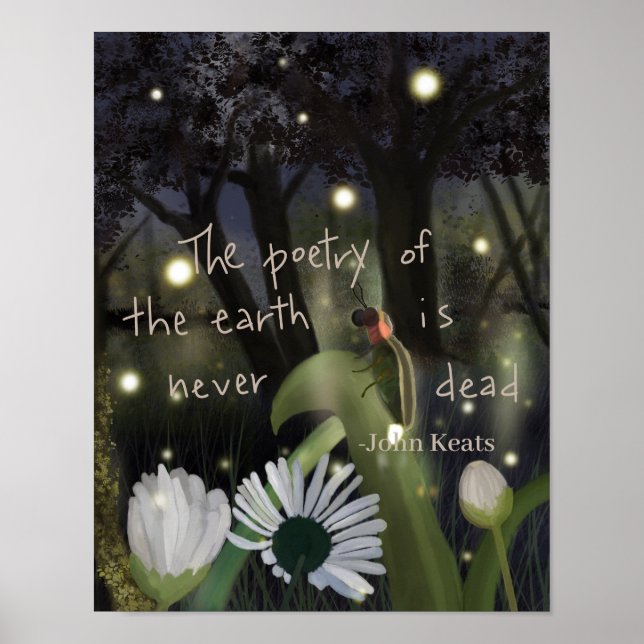 Firefly Sky Poster (Front)