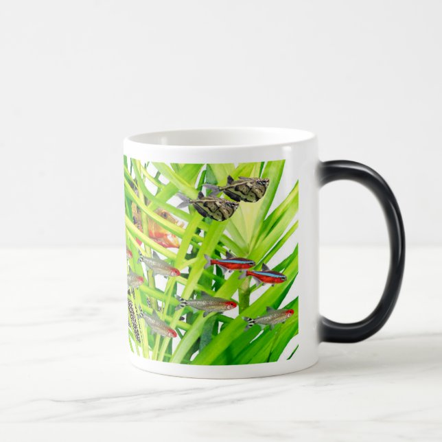 Firehead tetras 2 magic mug (Right)