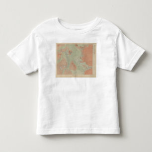 Firehole Geyser Basin Toddler T-Shirt
