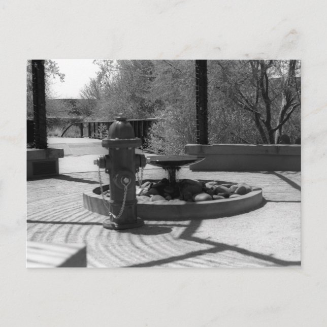 Firehydrant VS Water Fountain Postcard (Front)