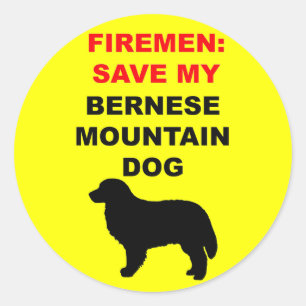 Fireman Save My Bernese Mountain Dog Classic Round Sticker