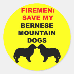 Fireman Save My Bernese Mountain Dogs Classic Round Sticker