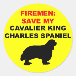 Fireman Save My Cavalier King Charles Spaniel Classic Round Sticker