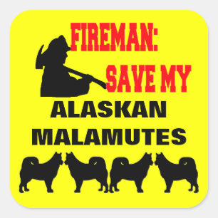 Fireman Save My FOUR Alaskan Malamute Dogs Square Sticker