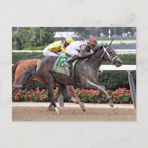 Firenze Fire Irad Ortiz Jr Postcard