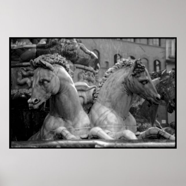 Firenze Poster (Front)