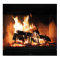 Fireplace Poster