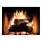 Fireplace Poster