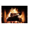 Fireplace Poster