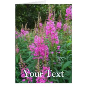 Fireweed