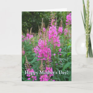 Fireweed Card