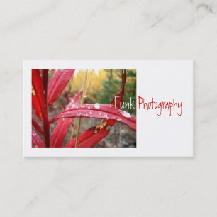 Fireweed in the Fall Business Card