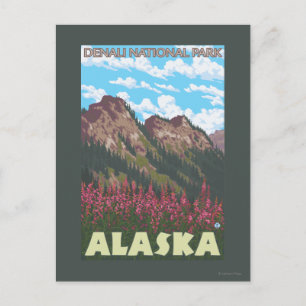Fireweed & Mountains - Denali Nat'l Park, Postcard
