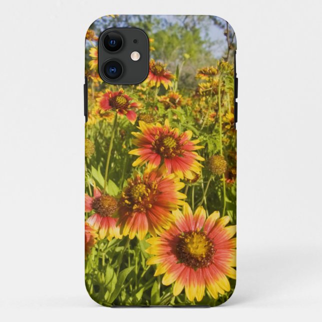 Firewheels Gaillardia pulchella) wildflowers Case-Mate iPhone Case (Back)