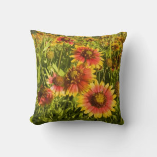 Firewheels Gaillardia pulchella) wildflowers Cushion