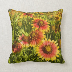 Firewheels Gaillardia pulchella) wildflowers Cushion
