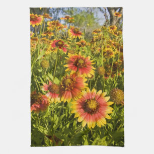 Firewheels Gaillardia pulchella) wildflowers Tea Towel