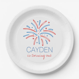 Firework Fourth of July Birthday Paper Plate