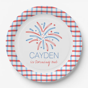 Firework Fourth of July Birthday Paper Plate