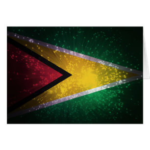 Firework; Guyana Flag