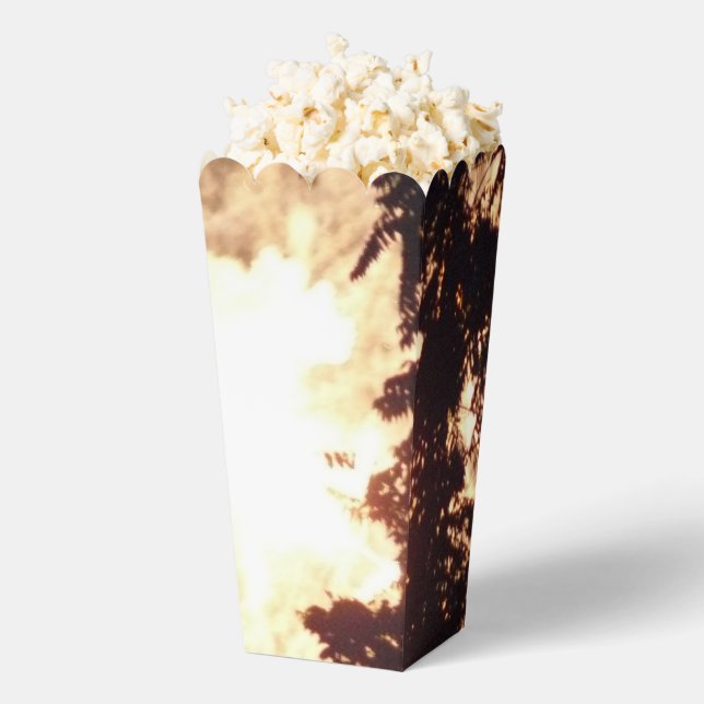 Fireworks 15 popcorn boxes (Popped)