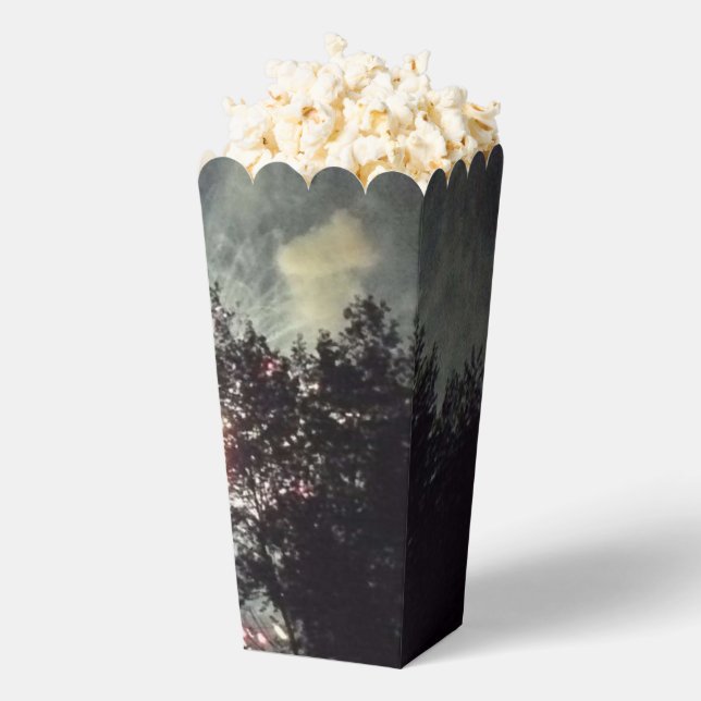 Fireworks 17 popcorn boxes (Popped)