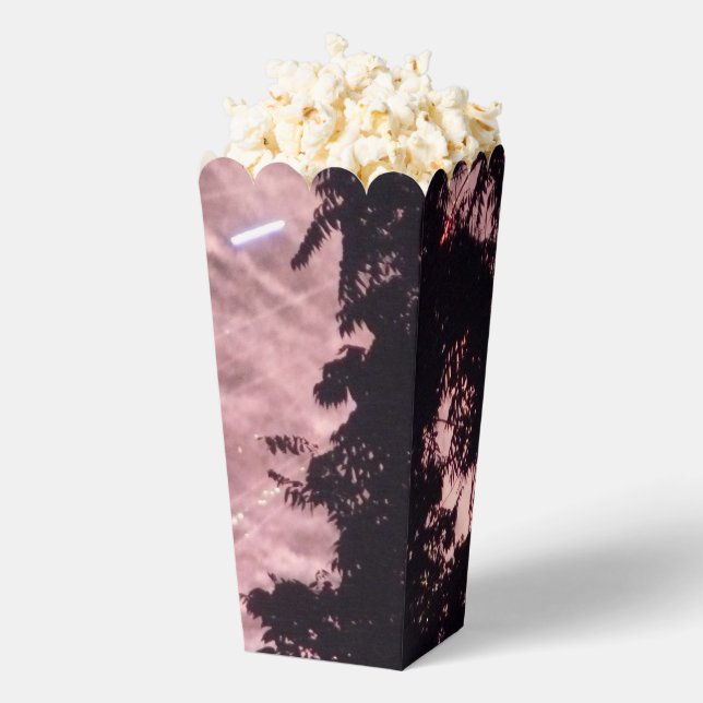 Fireworks 18 popcorn boxes (Popped)