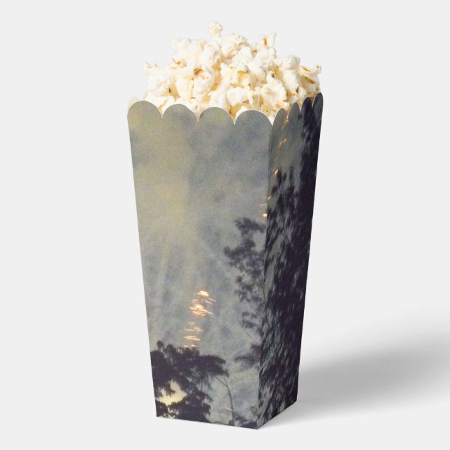 Fireworks 19 popcorn boxes (Popped)