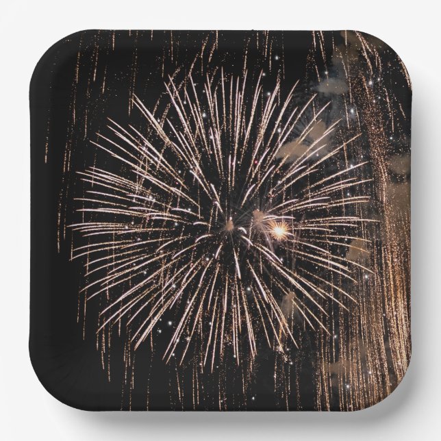Fireworks Display On Black Sky Paper Plate (Front)
