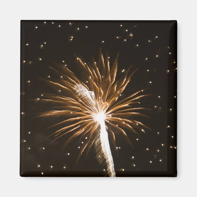 Fireworks display on Savannah River Magnet (Front)