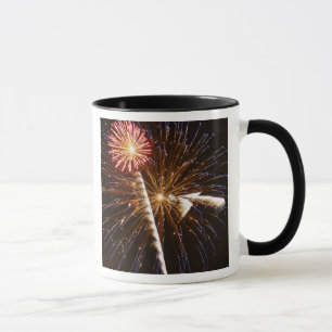 Fireworks display on Savannah River Mug