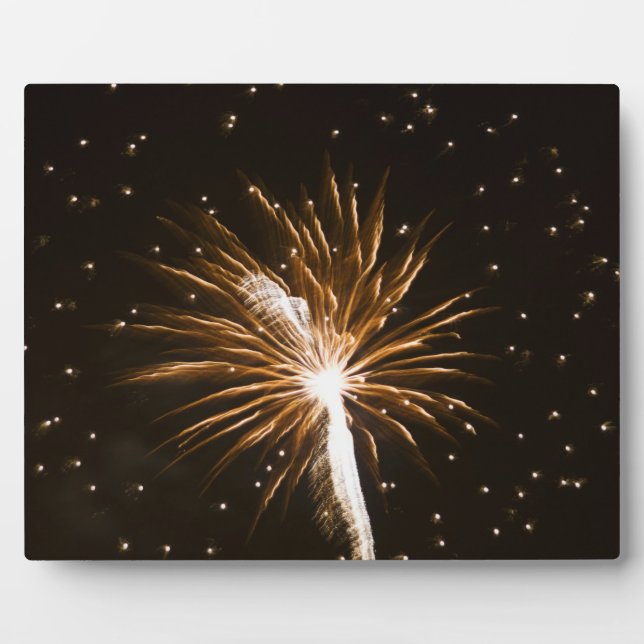 Fireworks display on Savannah River Plaque (Front)