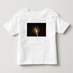 Fireworks display on Savannah River Toddler T-Shirt