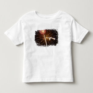 Fireworks display on Savannah River Toddler T-Shirt