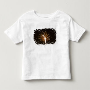 Fireworks display on Savannah River Toddler T-Shirt