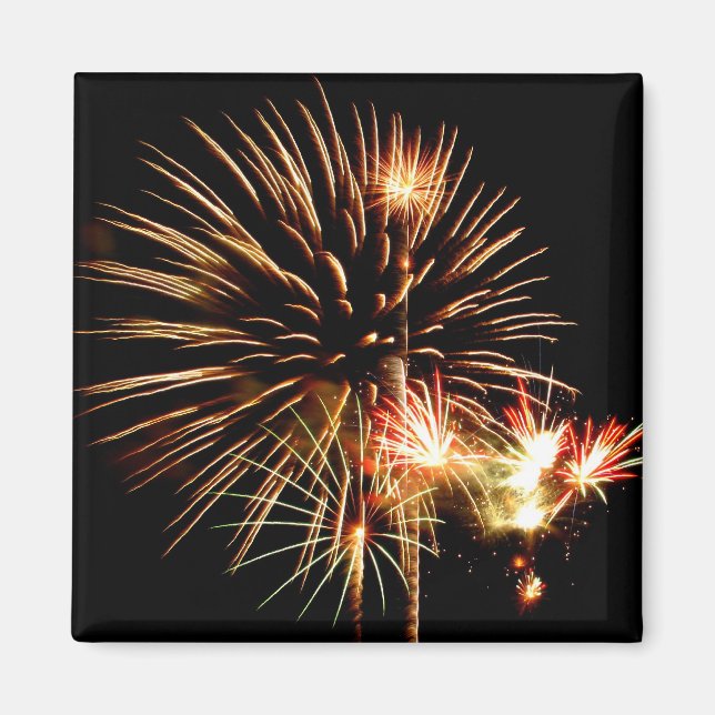 Fireworks Magnet (Front)