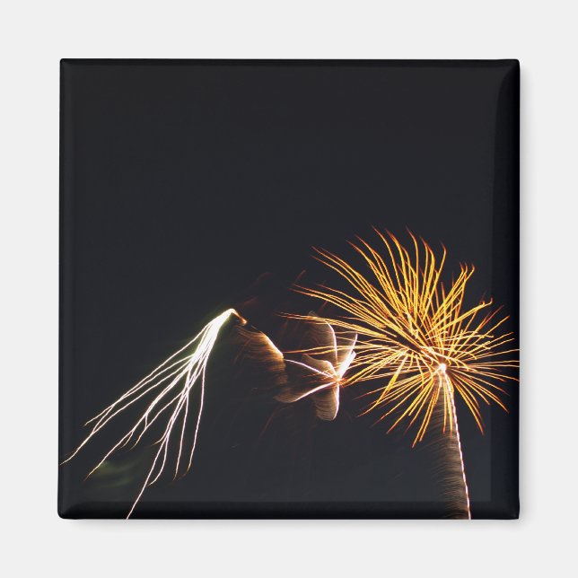 Fireworks P0538 Magnet (Front)