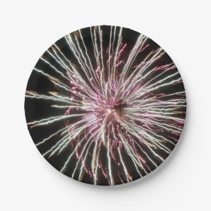 Fireworks Paper Plate