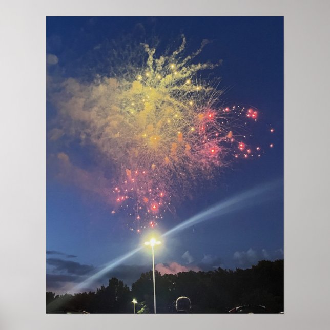 Fireworks Photo Poster (Front)