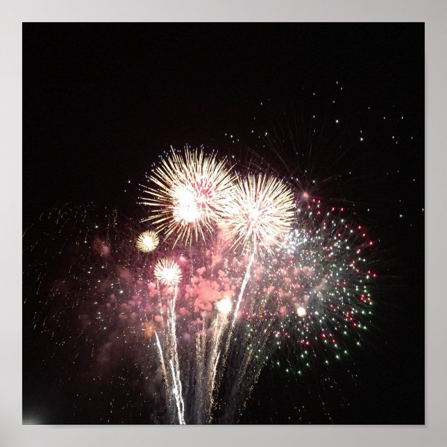 Fireworks Photo Poster (Front)