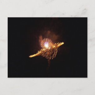 FIREWORKS POSTCARD