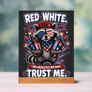 Fireworks Racoon 4th of July Acrylic Sign