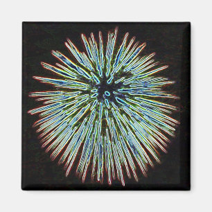 Fireworks Teal magnet
