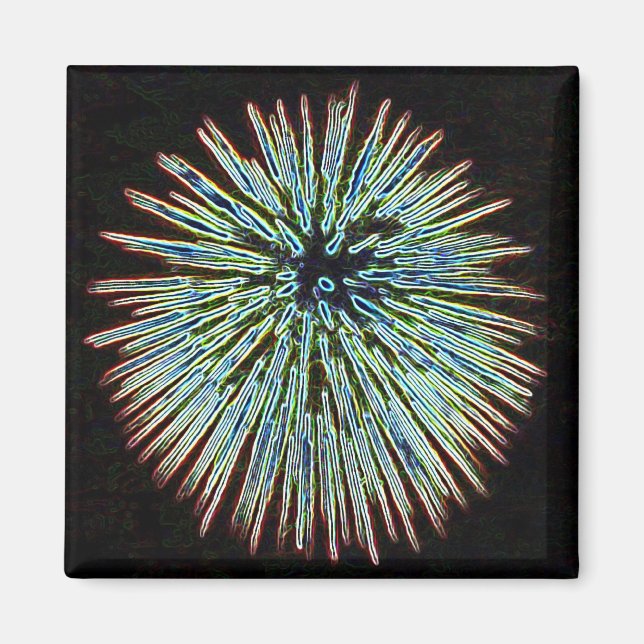 Fireworks Teal magnet (Front)