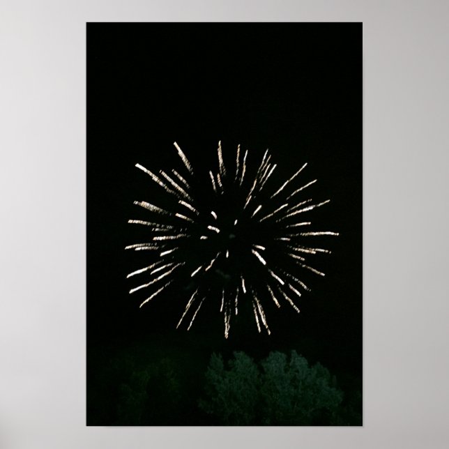 Fireworks with Tree Poster (Front)