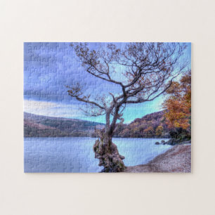 Firkin Point, Loch Lomond, Scotland Jigsaw puzzle